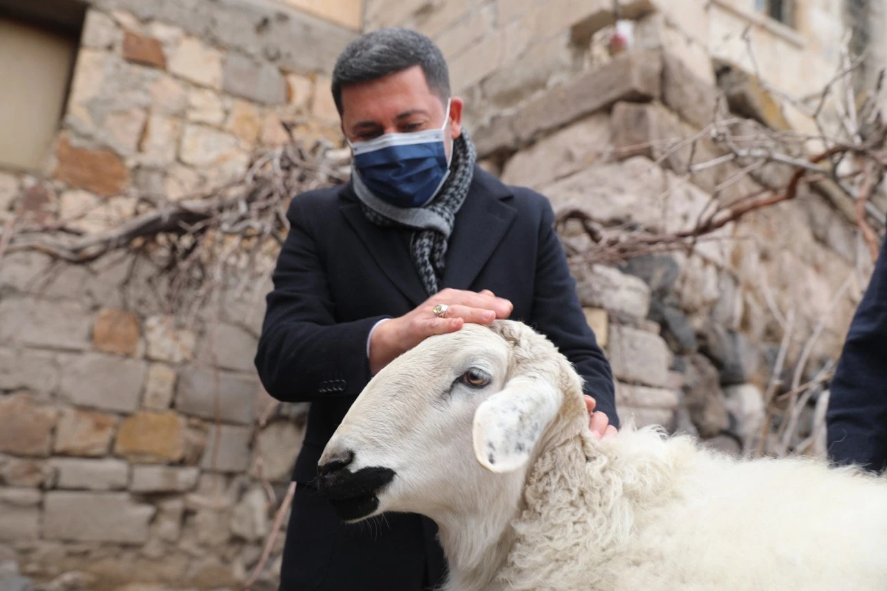 Nevşehir belediye binasını basan koyunlara başkan arı'dan iade-i ziyaret